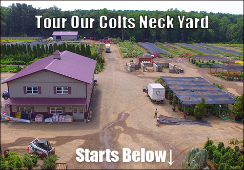 Colts-Neck-Monmouth-County-Nursery-Aerial-Photo-2
