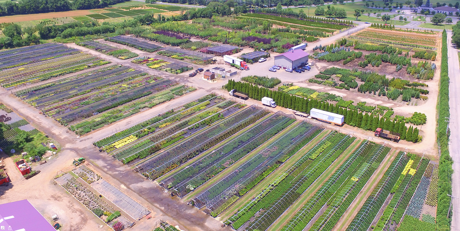About LP Statile Wholesale Nursery - this is our Colts Neck location