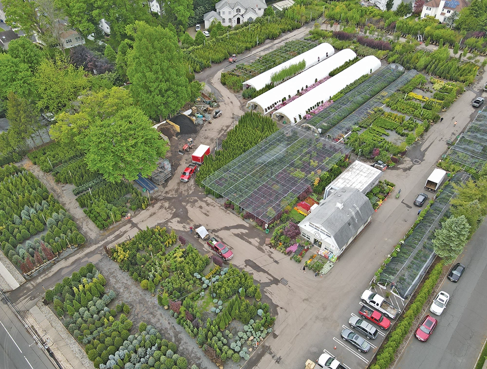 LP Statile Wholesale Nursery Springfield, NJ wholesale yard