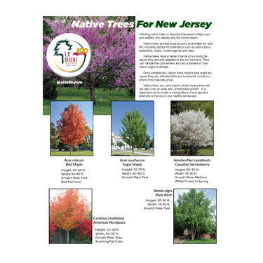 A ist of Native trees for New Jersey with pictures and descriptions