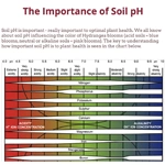 The importance of soil ph blog post link