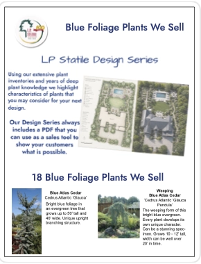 PDF link to plants we sell with blue foliage article