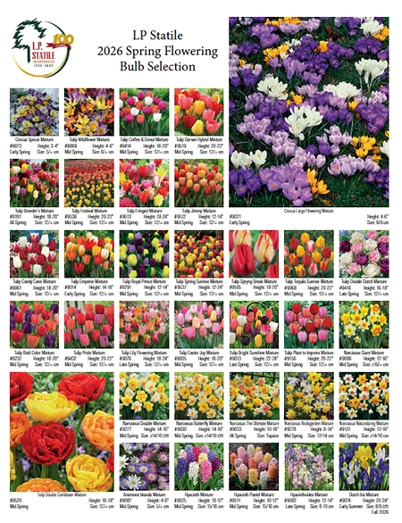 A picture of the cover of our 2026 spring flowering brochure cover